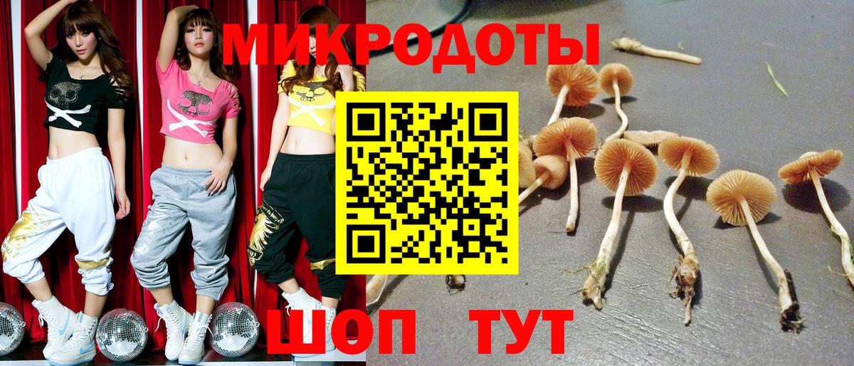 Галлюциногенные грибы прущие грибы Нальчик