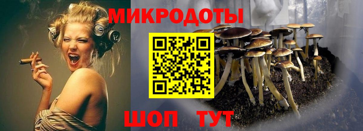 Псилоцибиновые грибы Magic Shrooms  Вход с VPN  Нальчик 